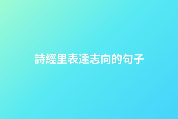 詩經里表達志向的句子