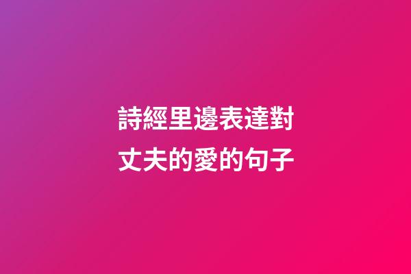 詩經里邊表達對丈夫的愛的句子