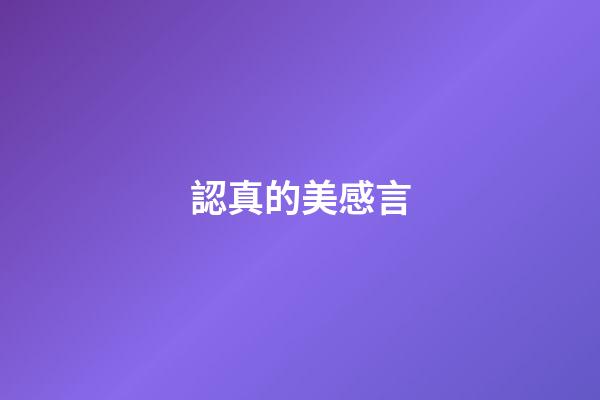 認真的美感言