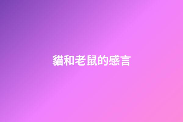貓和老鼠的感言