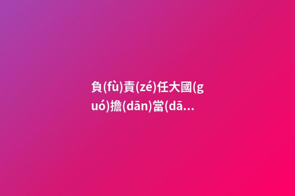 負(fù)責(zé)任大國(guó)擔(dān)當(dāng)感言