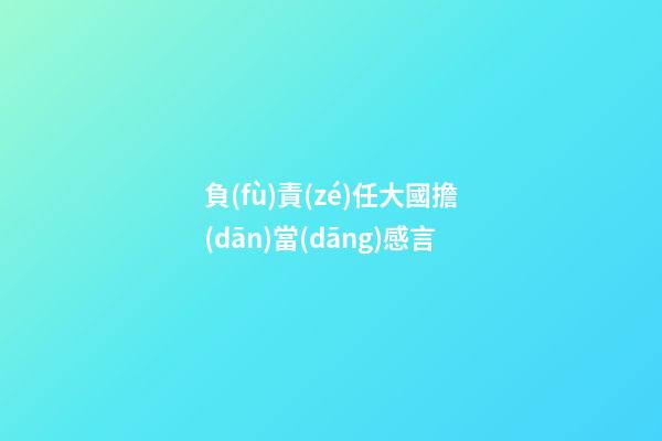 負(fù)責(zé)任大國擔(dān)當(dāng)感言