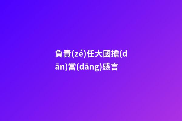 負責(zé)任大國擔(dān)當(dāng)感言