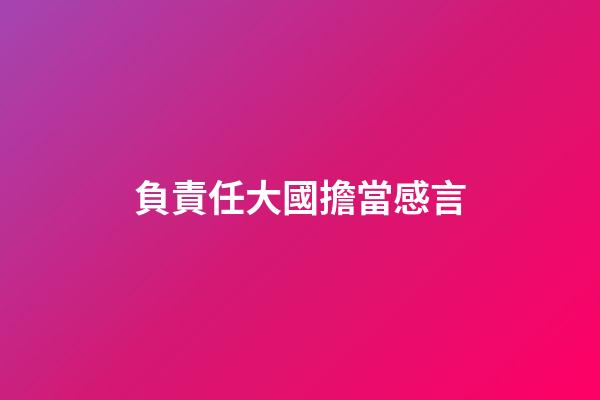 負責任大國擔當感言