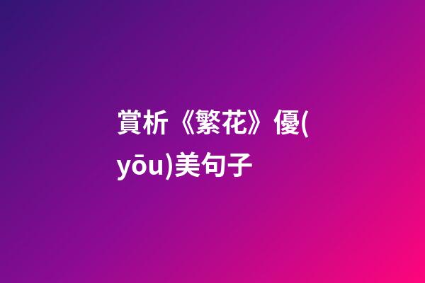 賞析《繁花》優(yōu)美句子