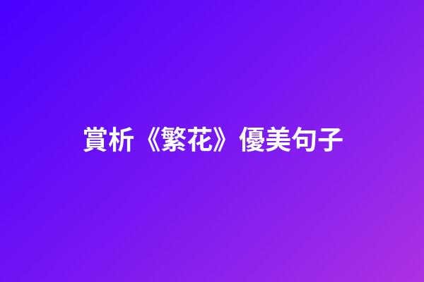 賞析《繁花》優美句子
