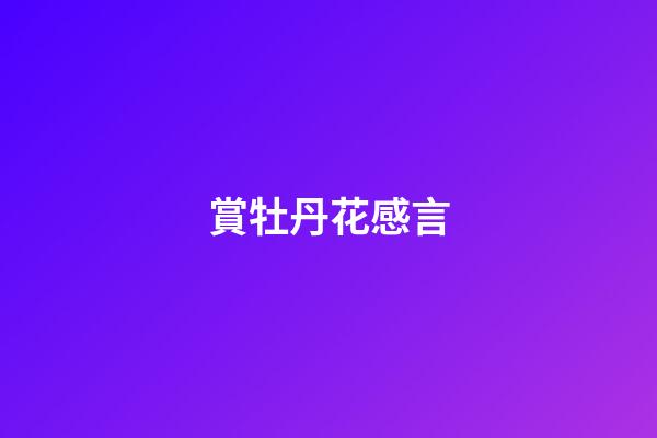 賞牡丹花感言