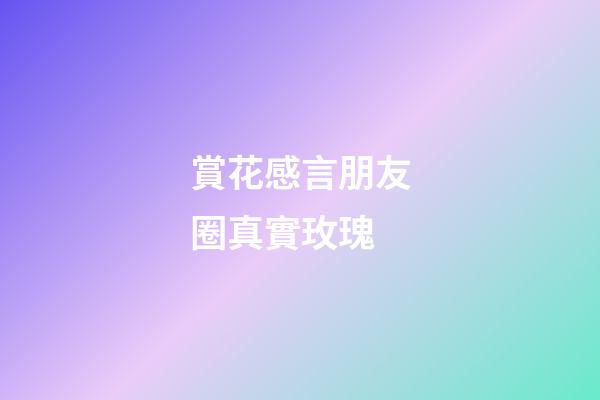 賞花感言朋友圈真實玫瑰