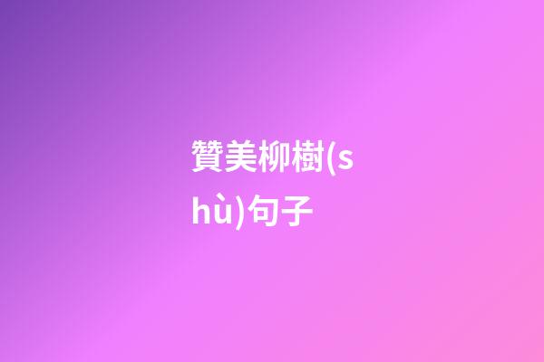 贊美柳樹(shù)句子