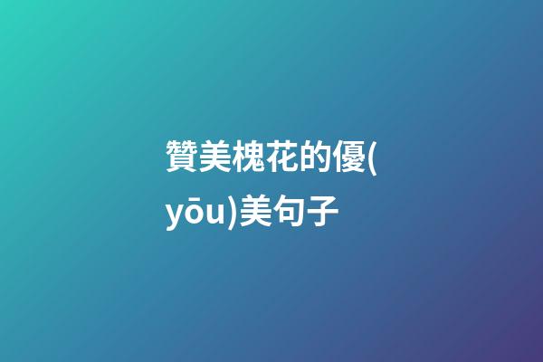 贊美槐花的優(yōu)美句子