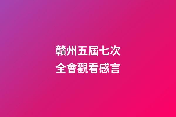 贛州五屆七次全會觀看感言