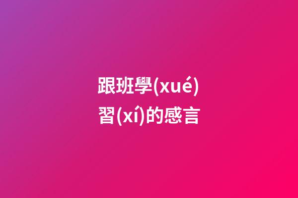 跟班學(xué)習(xí)的感言