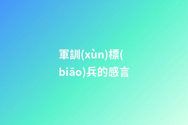 軍訓(xùn)標(biāo)兵的感言