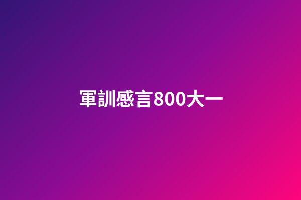 軍訓感言800大一