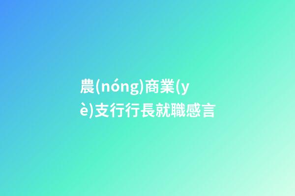 農(nóng)商業(yè)支行行長就職感言