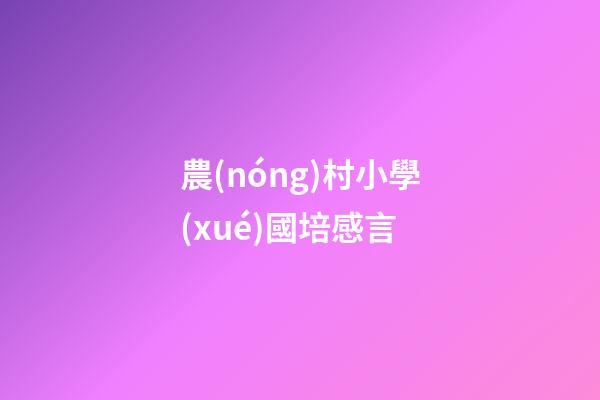 農(nóng)村小學(xué)國培感言