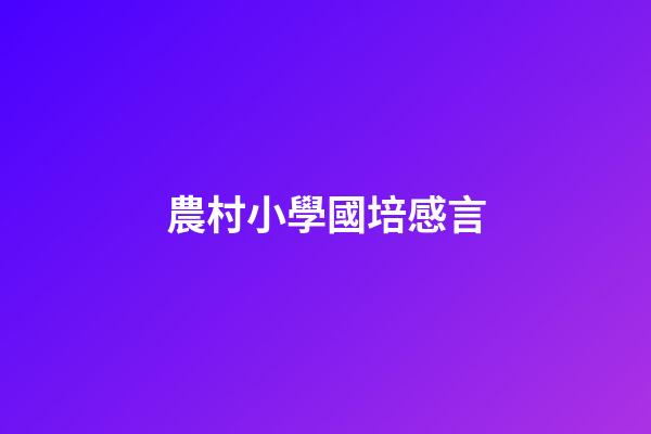 農村小學國培感言