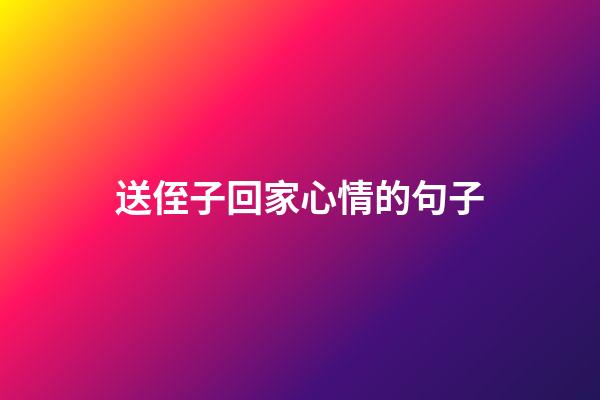 送侄子回家心情的句子
