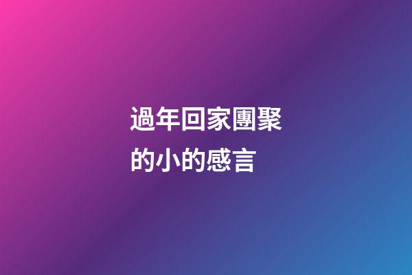 過年回家團聚的小的感言