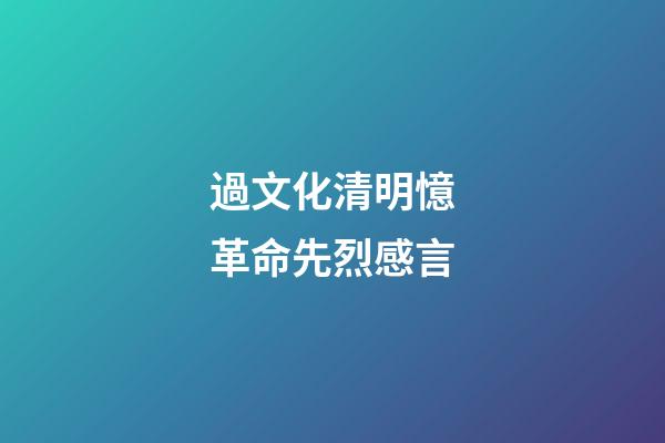 過文化清明憶革命先烈感言