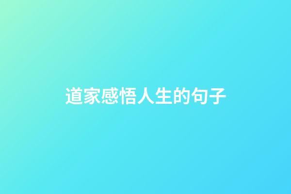 道家感悟人生的句子