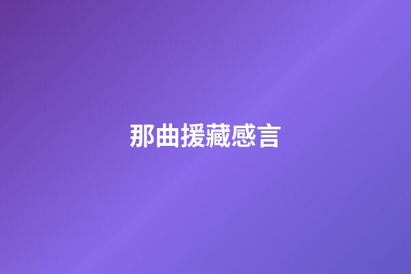 那曲援藏感言