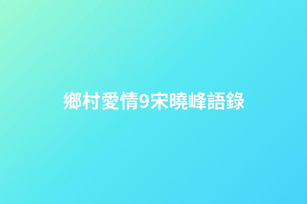 鄉村愛情9宋曉峰語錄