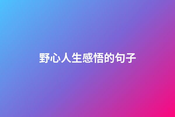 野心人生感悟的句子
