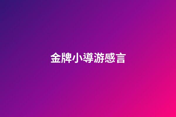 金牌小導游感言