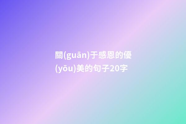 關(guān)于感恩的優(yōu)美的句子20字