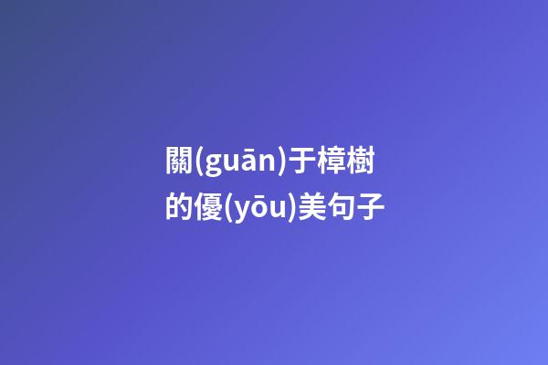 關(guān)于樟樹的優(yōu)美句子
