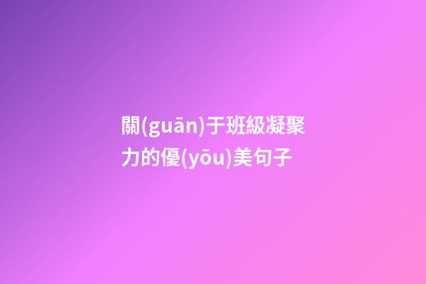關(guān)于班級凝聚力的優(yōu)美句子