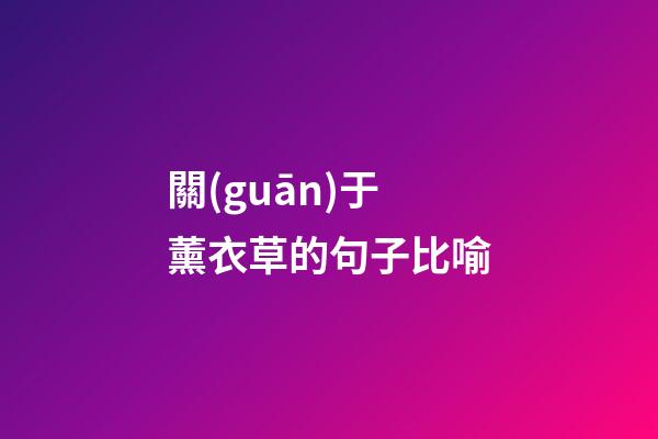 關(guān)于薰衣草的句子比喻
