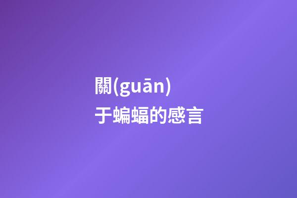 關(guān)于蝙蝠的感言