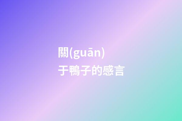 關(guān)于鴨子的感言