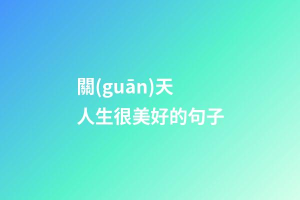 關(guān)天人生很美好的句子