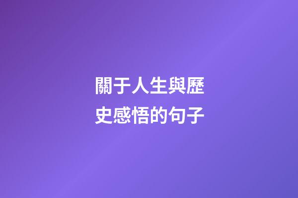 關于人生與歷史感悟的句子
