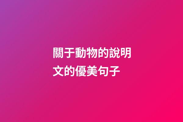 關于動物的說明文的優美句子