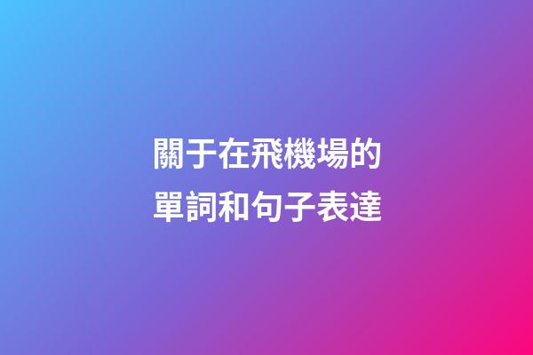 關于在飛機場的單詞和句子表達