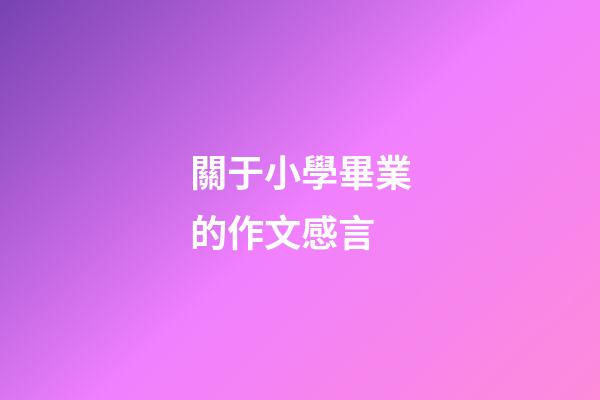 關于小學畢業的作文感言