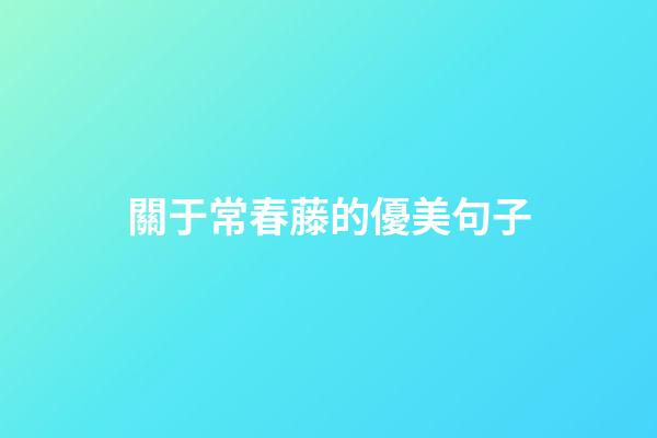 關于常春藤的優美句子