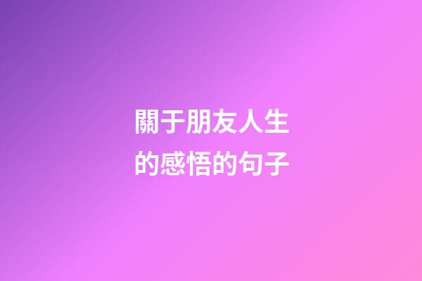 關于朋友人生的感悟的句子