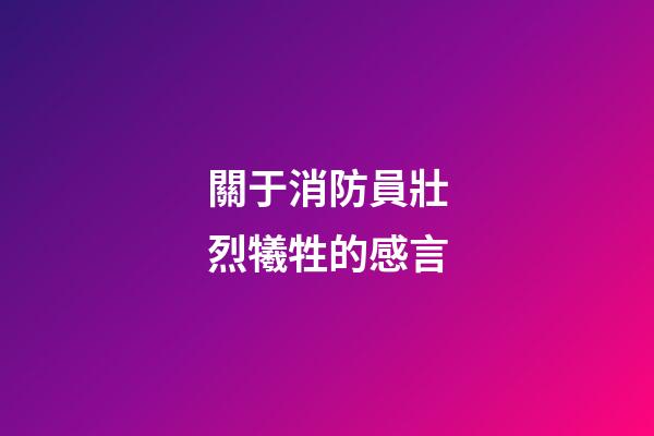 關于消防員壯烈犧牲的感言
