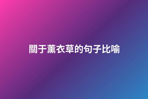 關于薰衣草的句子比喻