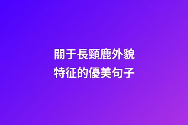 關于長頸鹿外貌特征的優美句子