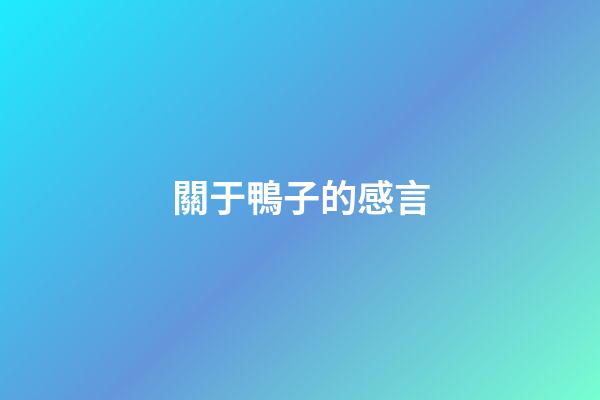 關于鴨子的感言