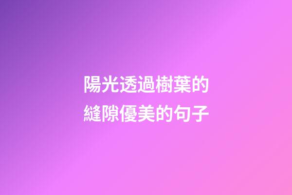 陽光透過樹葉的縫隙優美的句子