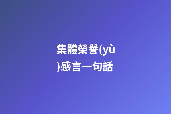 集體榮譽(yù)感言一句話