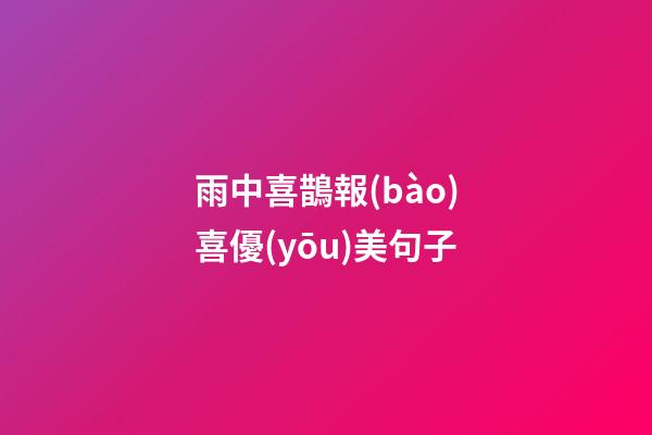 雨中喜鵲報(bào)喜優(yōu)美句子