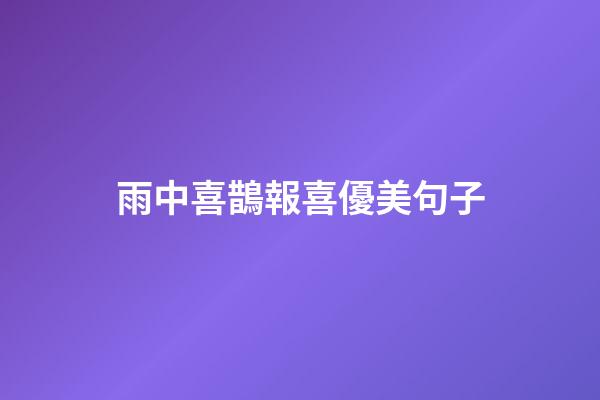 雨中喜鵲報喜優美句子